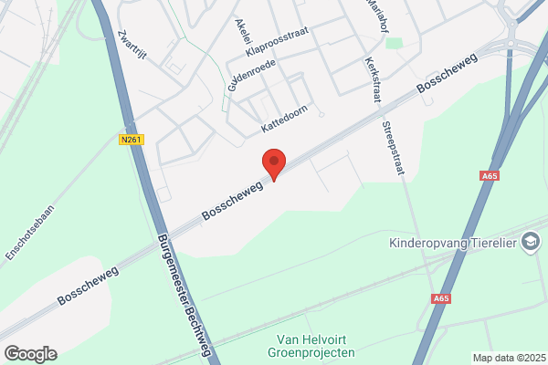 Dameskapsalon A. Broeders