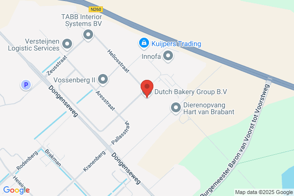 Dutch Pol