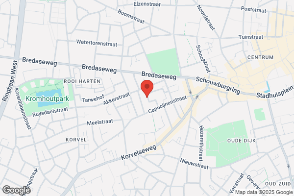 Oerlemans, F P