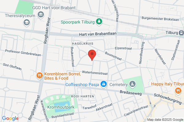 Vuurvogel, De