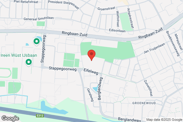 Willem Ii College, Koning