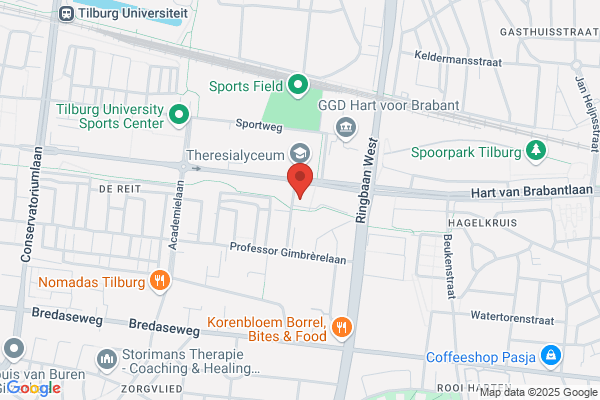 Jeugdige Protestanten Die Samenwerken Jps