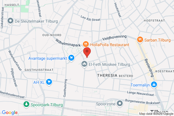 Thiel, Ver Van