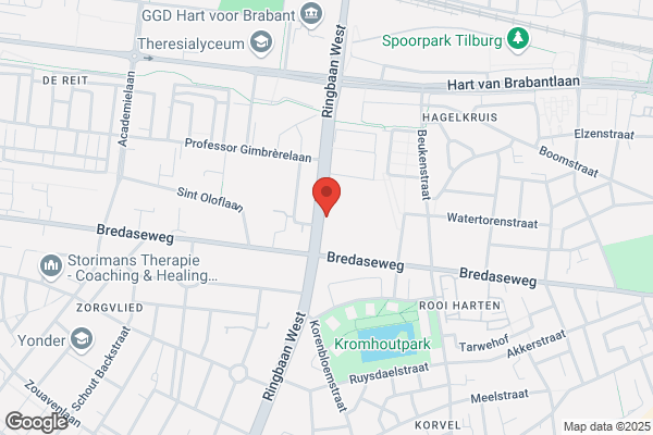 Assurantiehuis, Het