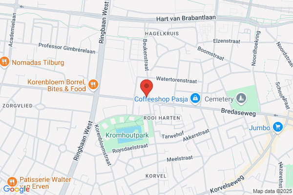 Verzekeringsman, De