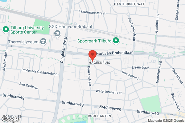 Beste, Het