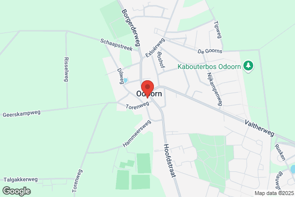 Bibliotheek Odoorn