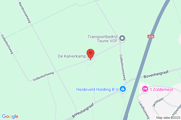 De Kalverkamp