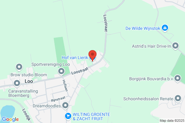 Leij, Van Der