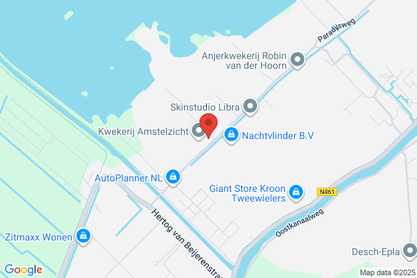 Intuïtieve Management Coaching