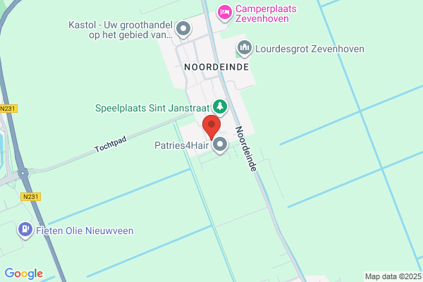 E Van Der Meer