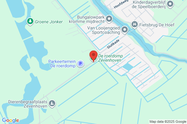 De Roerdomp