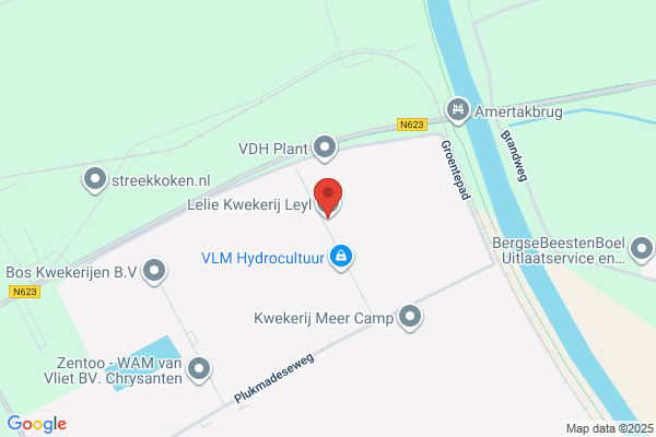 Lelie, De
