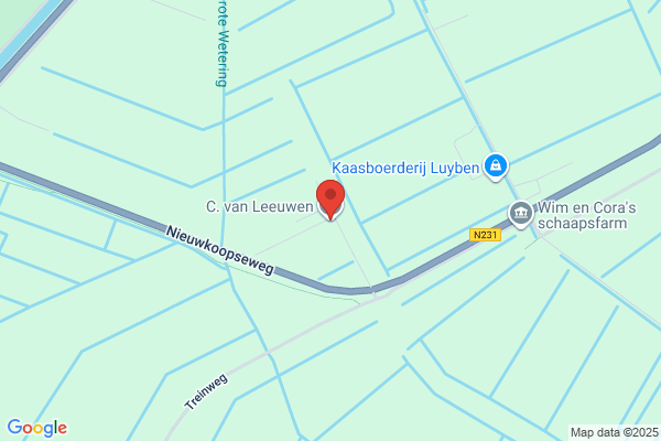 C Van Leeuwen