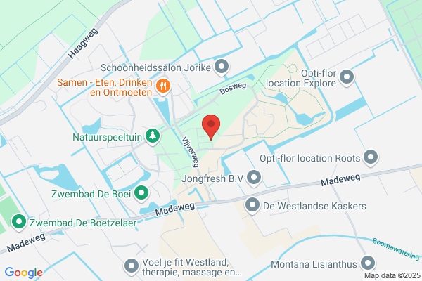 Westerhonk, Het