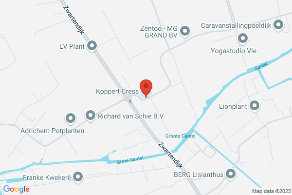 Koppert Trading Bv