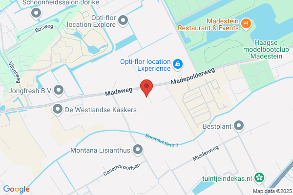 Nederpelt Bv