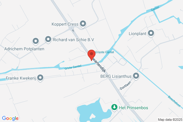Valk Bv, Van Der