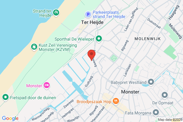 Van Straalen Palmenverhuur