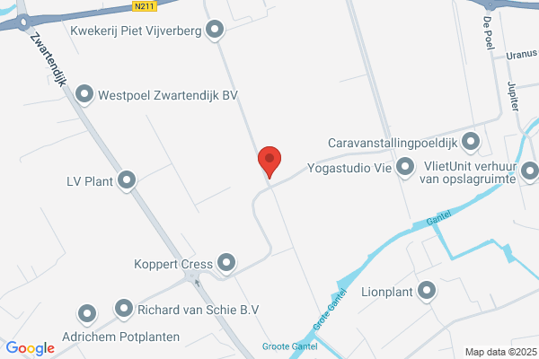 Zuidgeest, Firma Ton