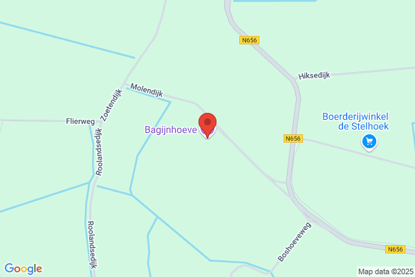 Bagijnehofje, 't