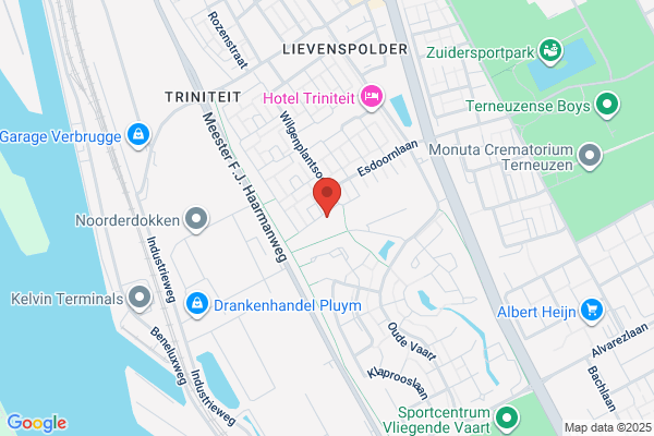 De Groene Zwaan