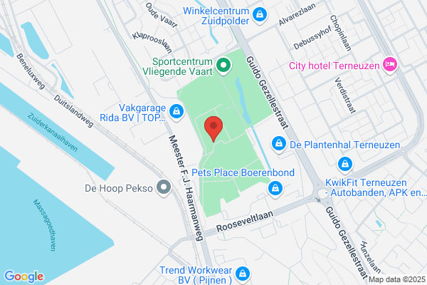 Zeeuwse Honk, Het