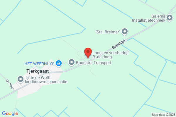 Jong, R De