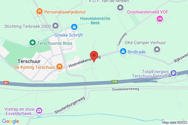 Rijn, Van
