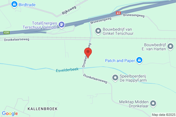 W Van Den Bor-Van Drie