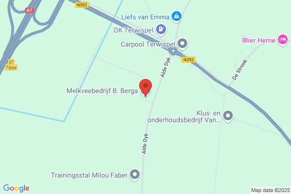 Boer - Jansma, L L De