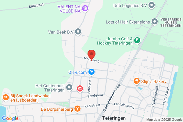 Associatie Voor Org & Manageme