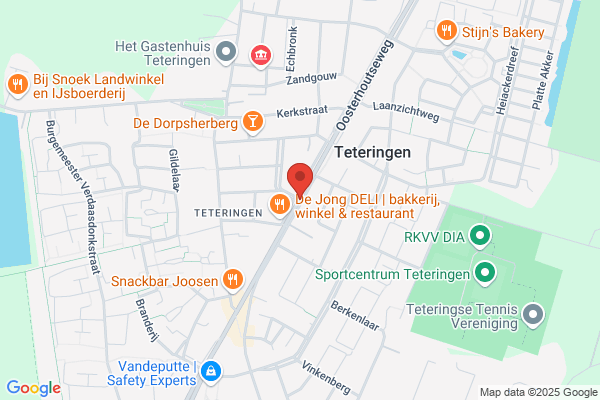 Herman Troost Auto's