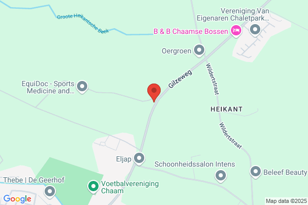 H.J. Van Eijmeren Management Bv