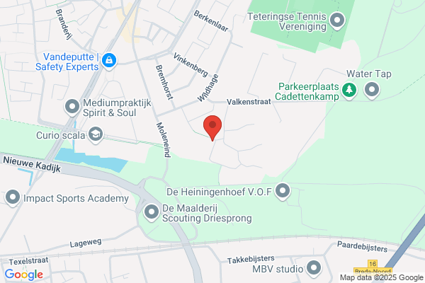 Vleermuis Software Research Bv