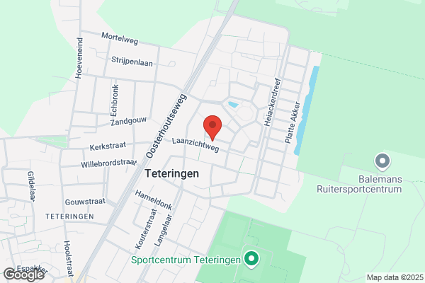 Goeijers, Ron