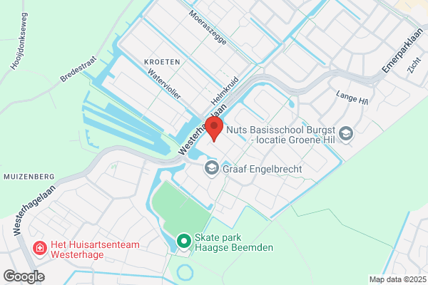 Salon Tiest Van Gool