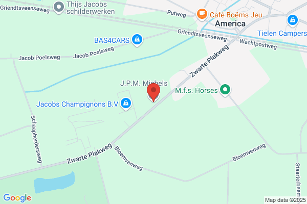 J.A.M. Michels