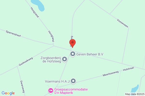 Van De Mortel Bv