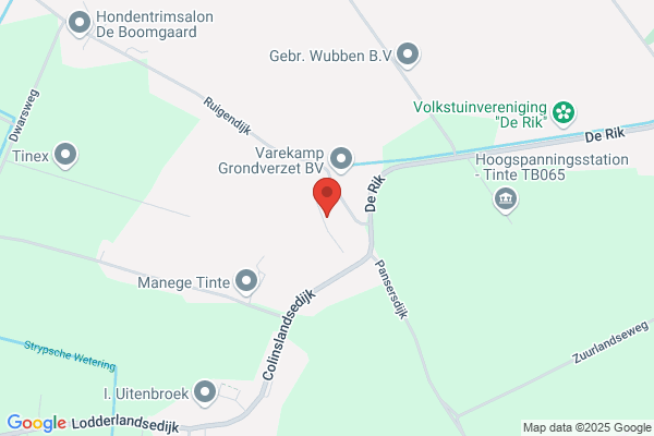 Wegman Vof, P