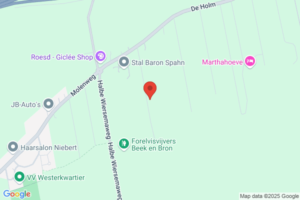 Jong, De