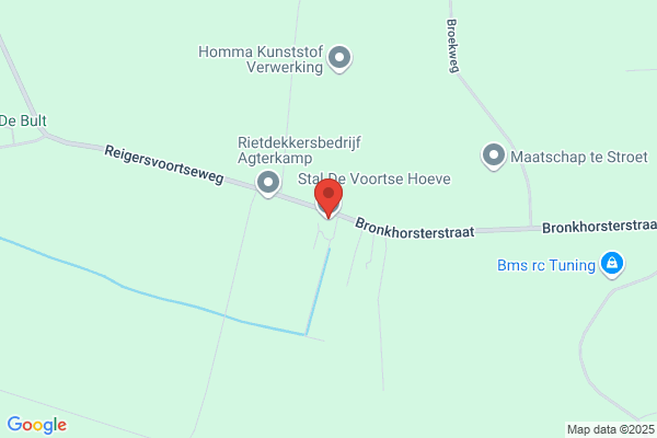 Steenhorst, De