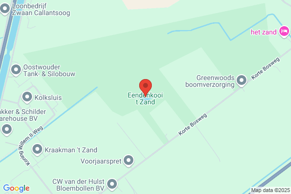 Eendenkooi, Sticht