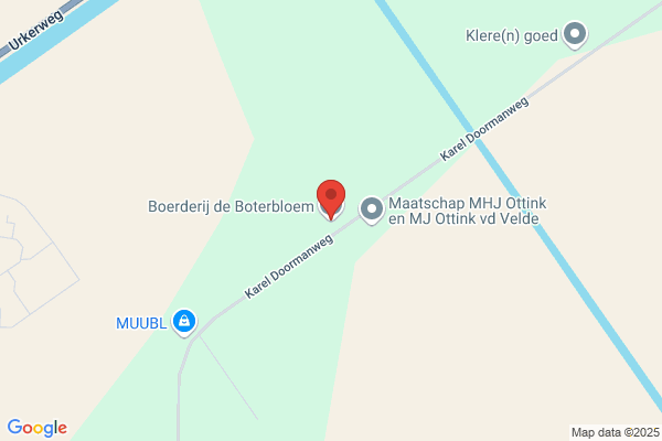 Korenbloem, De