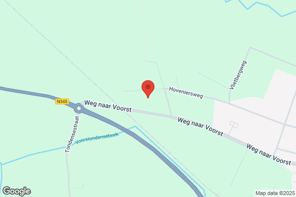 Wima Plant