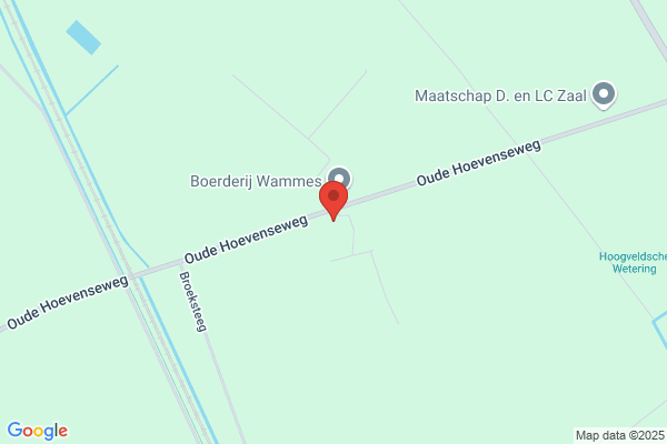 Koedam