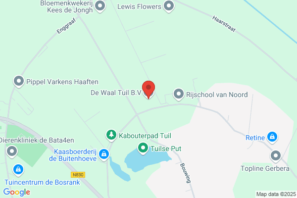 De Waalbrug