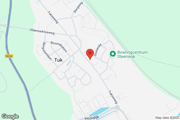 Toro Pintos