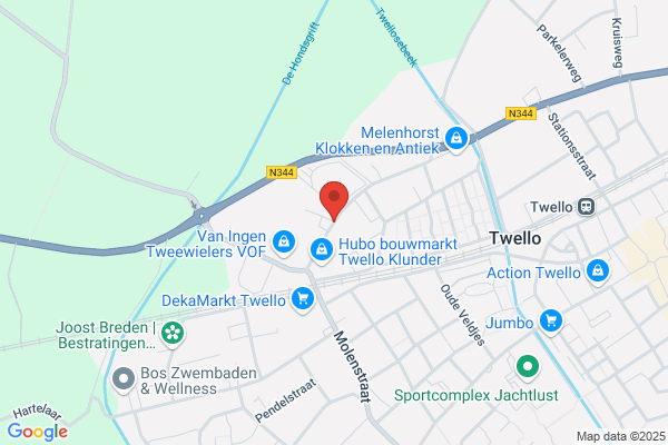 Koppius, Projectman. En Org.Ontwikkeling