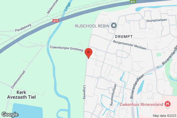 Wesselius Adv.- En Management Consultant